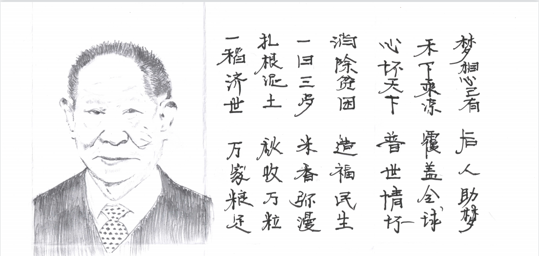一日三餐，米香彌漫，飽食者當(dāng)常憶袁公 （漫畫）