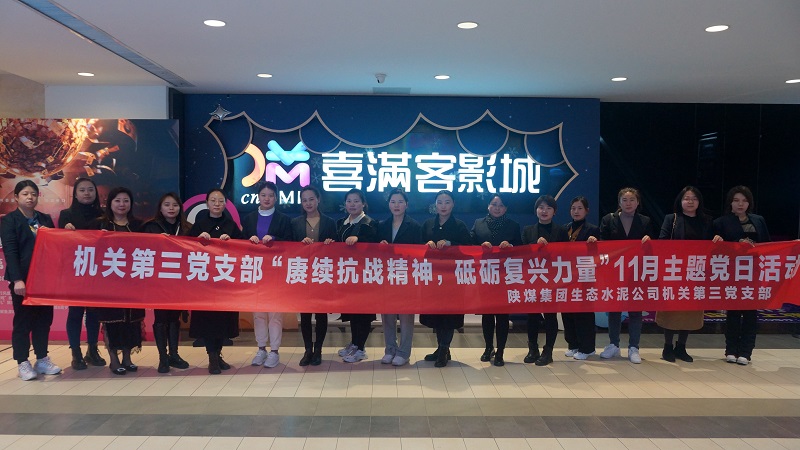 機關第三黨支部組織開展“賡續(xù)抗戰(zhàn)精神，砥礪復興力量”紅色觀影主題黨日活動