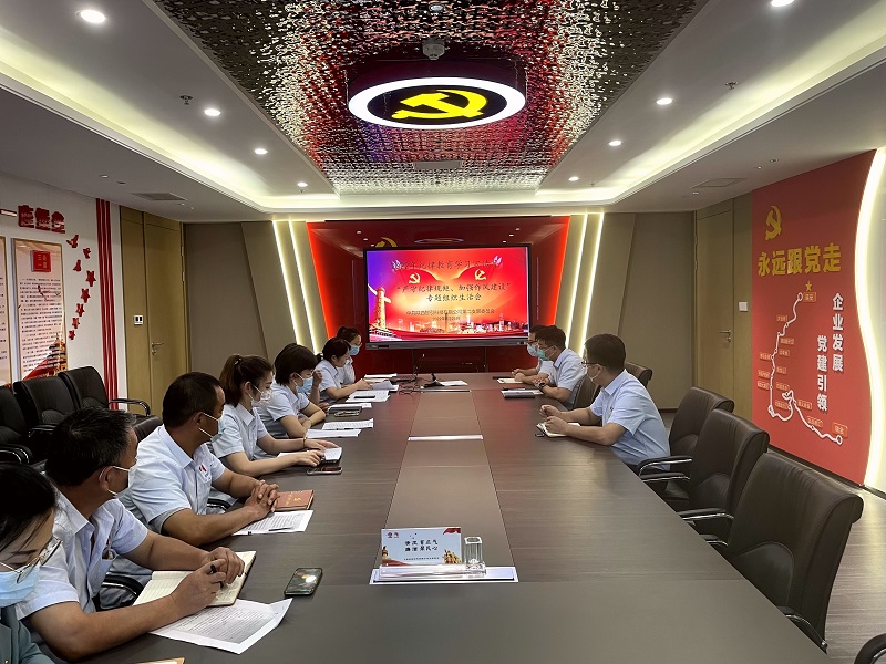 智引公司突出“深、實、準、真、狠” 確保專題組織生活會有實效