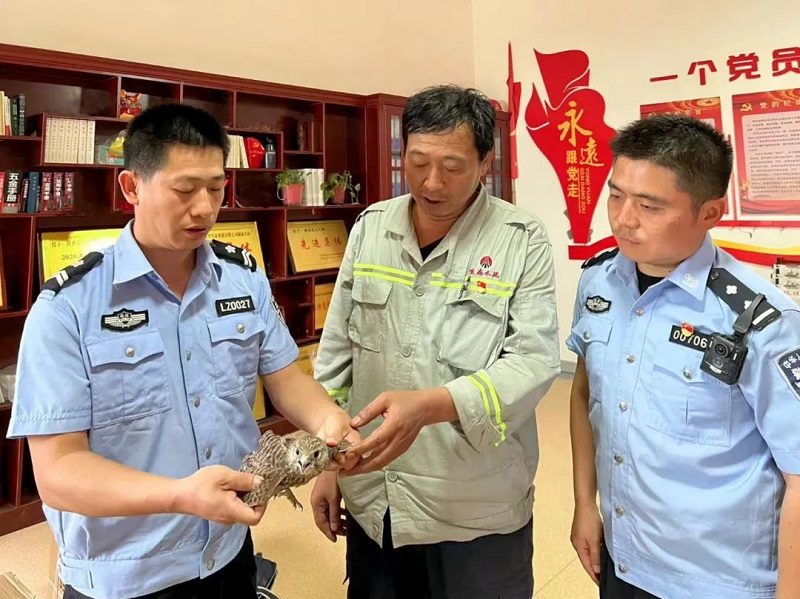 暖心！富平公司與薛鎮(zhèn)派出所攜手成功救助國家二級保護動物