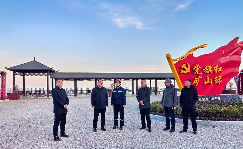 渭南市自然資源和規(guī)劃局到富平公司檢查指導工作