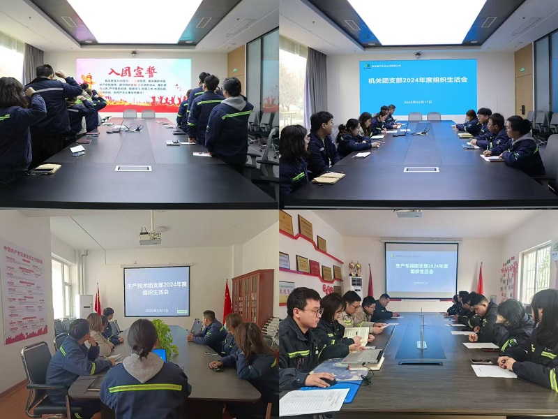 富平公司團(tuán)委開展2024年度組織生活會(huì)和團(tuán)員教育評(píng)議工作