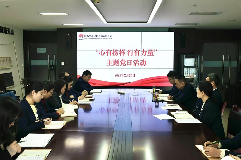 華山營(yíng)銷公司黨支部開展“心有榜樣 行有力量”主題黨日活動(dòng)